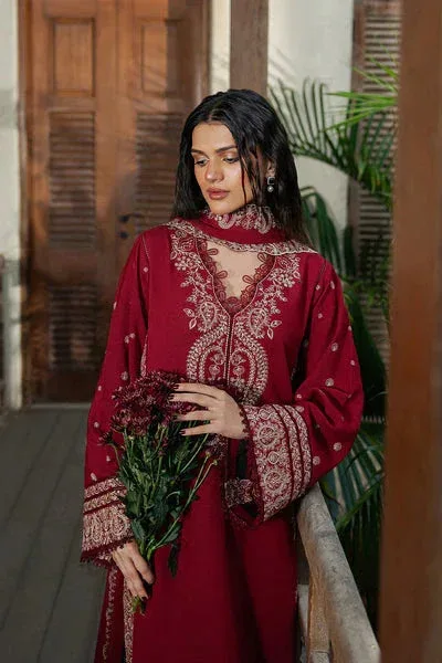 Afrozeh October Winter Pret 25 – view 4 – Poshaq