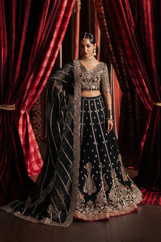 Afrozeh Divani Silk 25 Black Organza – view 1 – Poshaq