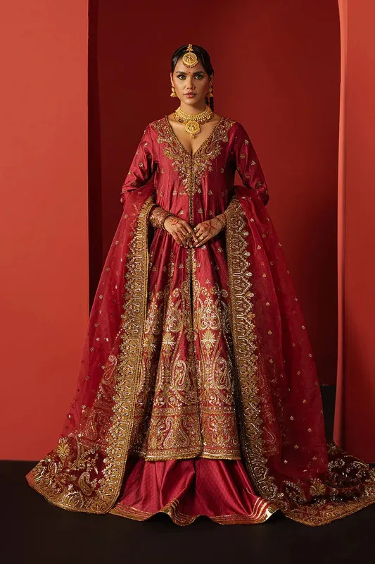 Afrozeh Divani Silk 25 Coral Organza – view 1 – Poshaq