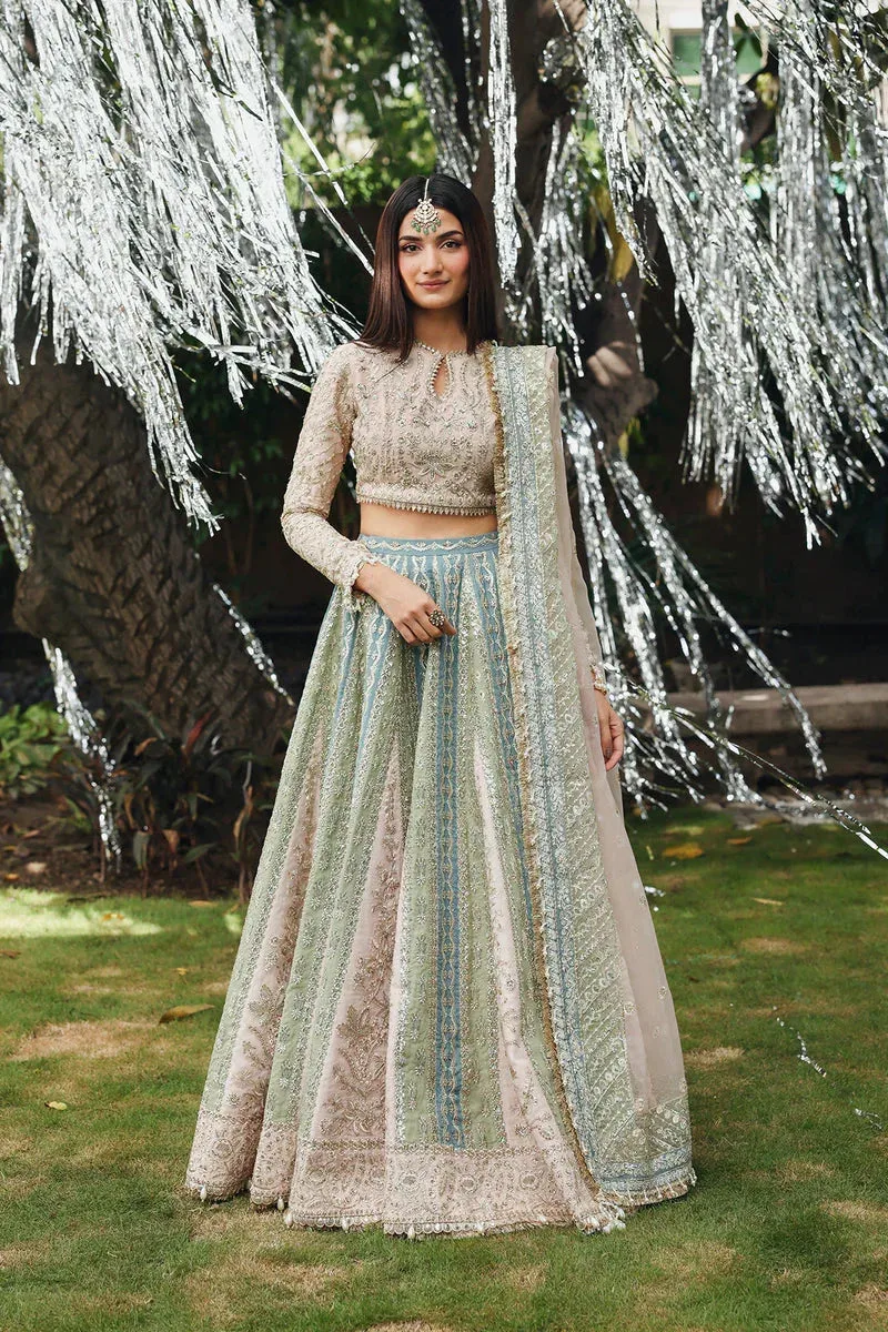 Afrozeh Dastangoi 25 Pink Organza – view 1 – Poshaq