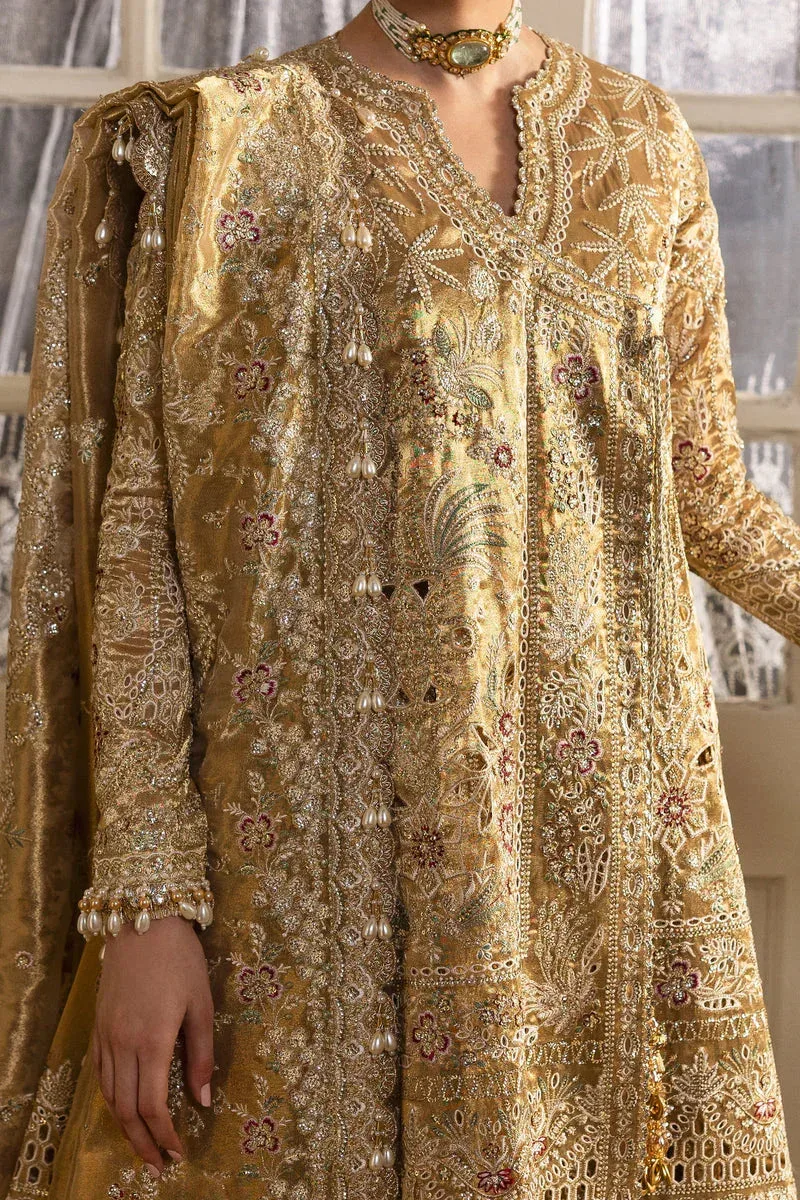 Afrozeh Dastangoi 25 Gold Tissue – view 3 – Poshaq