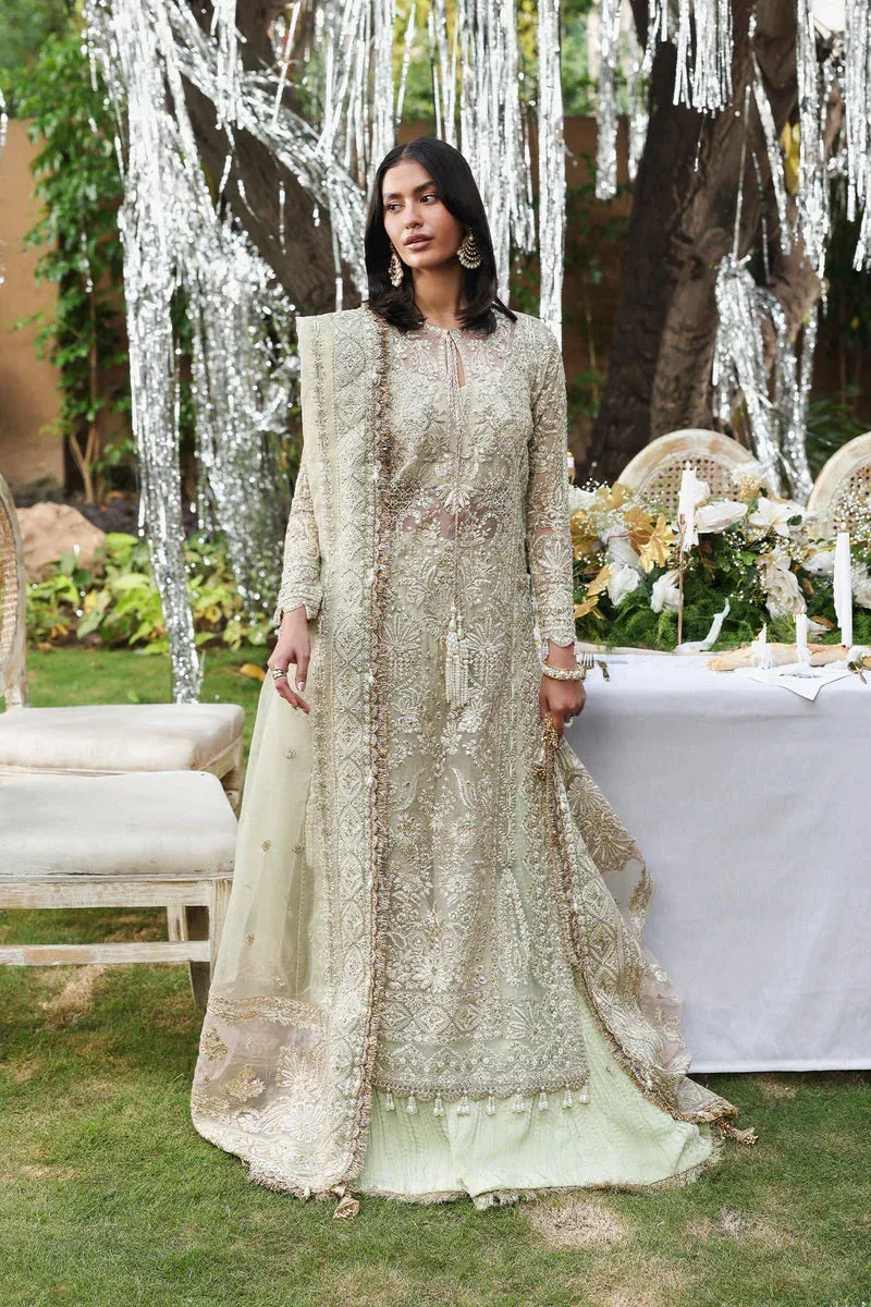 Afrozeh Dastangoi 25 Silver Organza – view 1 – Poshaq