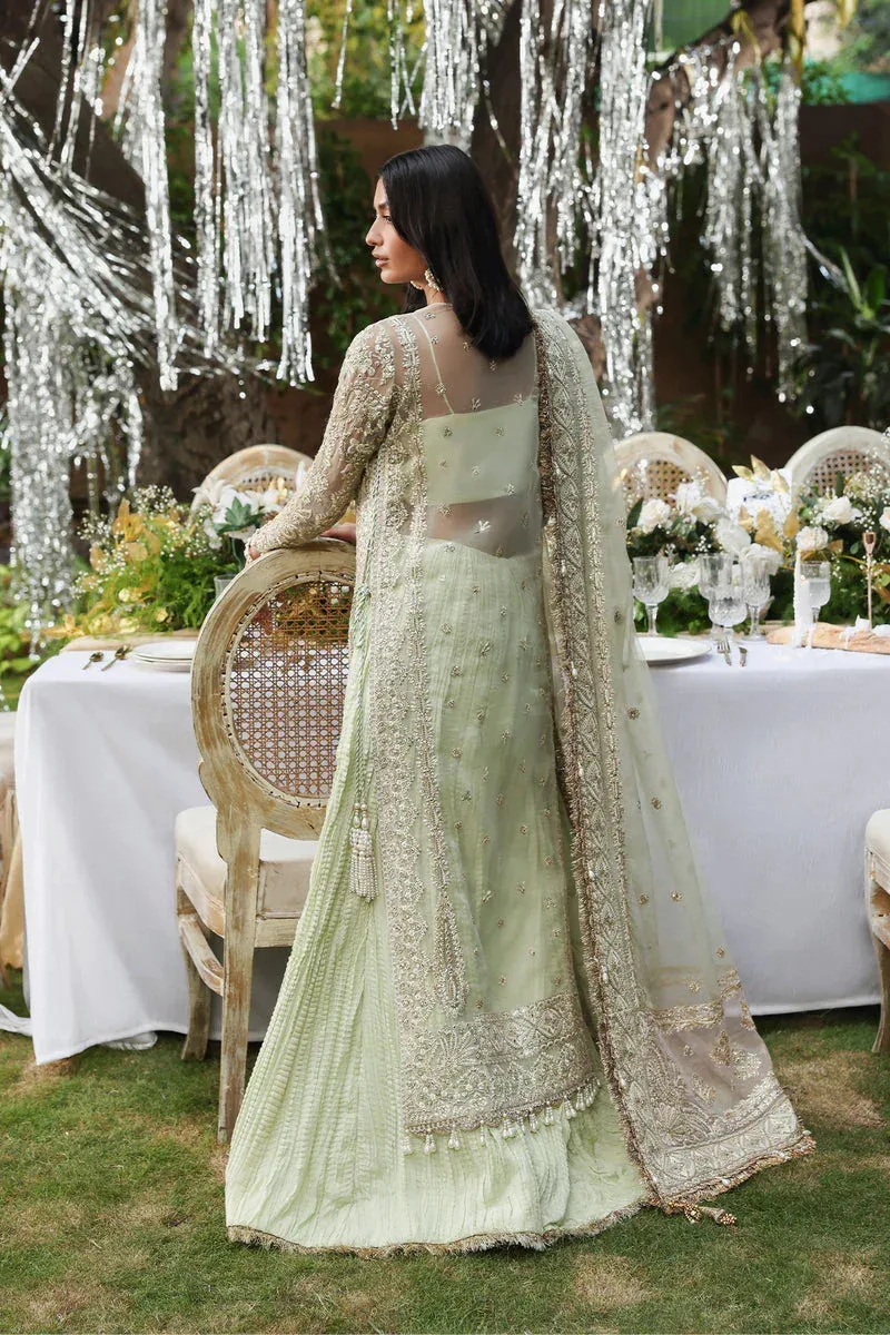 Afrozeh Dastangoi 25 Silver Organza – view 2 – Poshaq