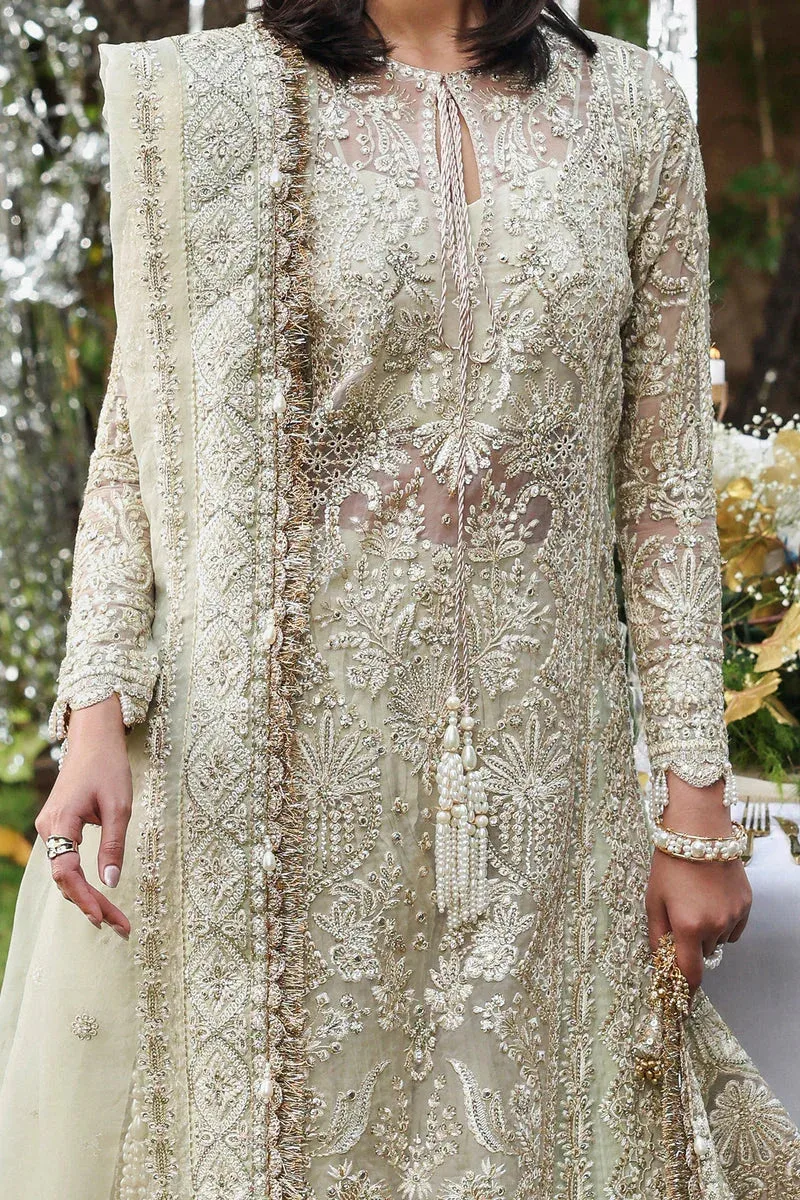 Afrozeh Dastangoi 25 Silver Organza – view 3 – Poshaq