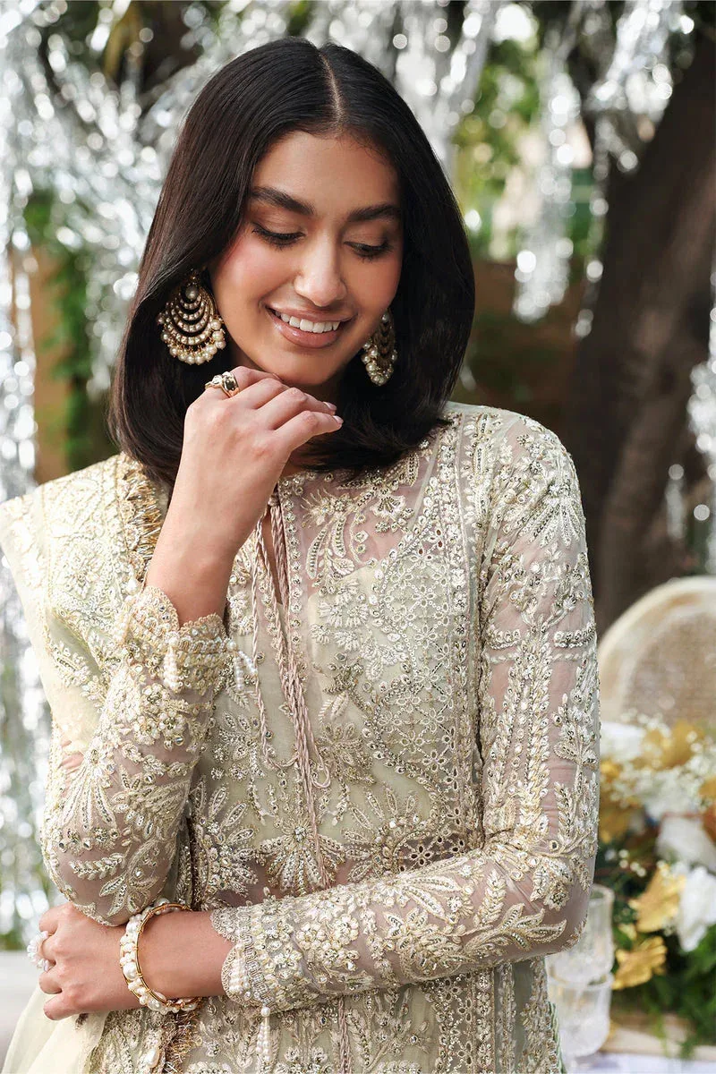 Afrozeh Dastangoi 25 Silver Organza – view 4 – Poshaq