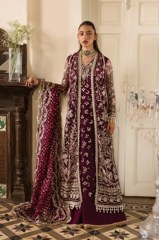 Afrozeh Dastangoi 25 Silver Raw Silk – view 1 – Poshaq