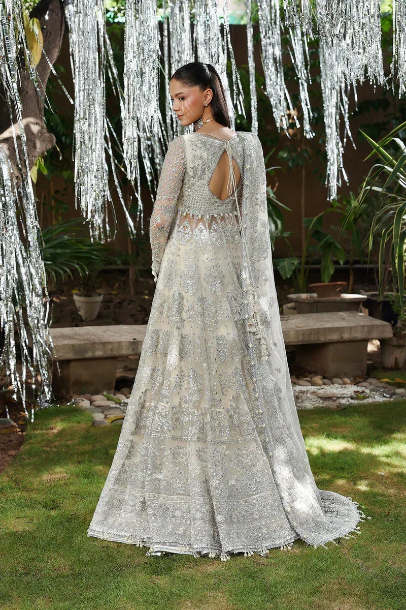 Afrozeh Dastangoi 25 Silver Net – view 2 – Poshaq