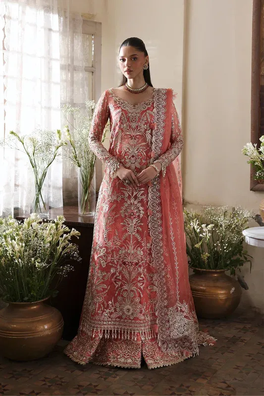 Afrozeh Dastangoi 25 Silver Organza – view 1 – Poshaq