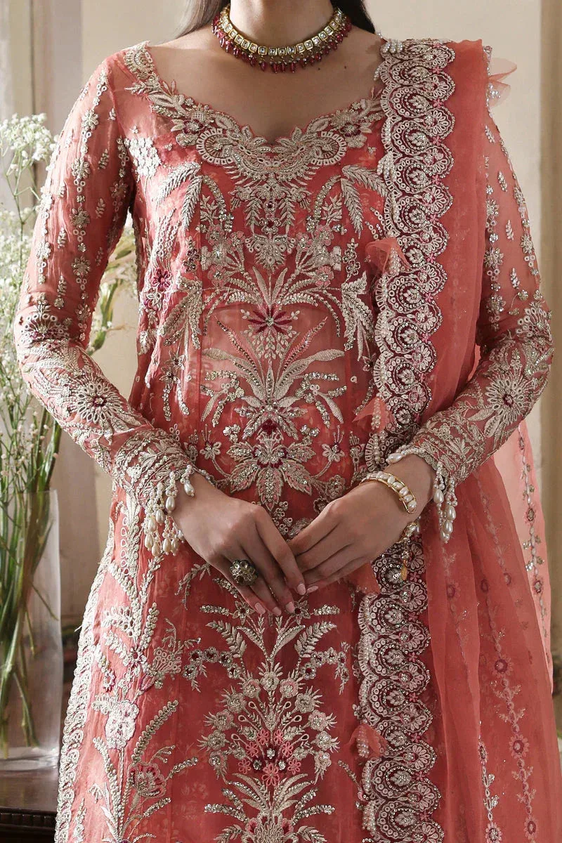 Afrozeh Dastangoi 25 Silver Organza – view 3 – Poshaq