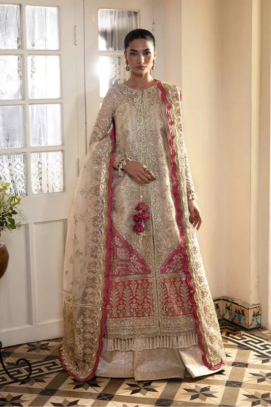 Afrozeh Dastangoi 25 Silver Organza – view 1 – Poshaq