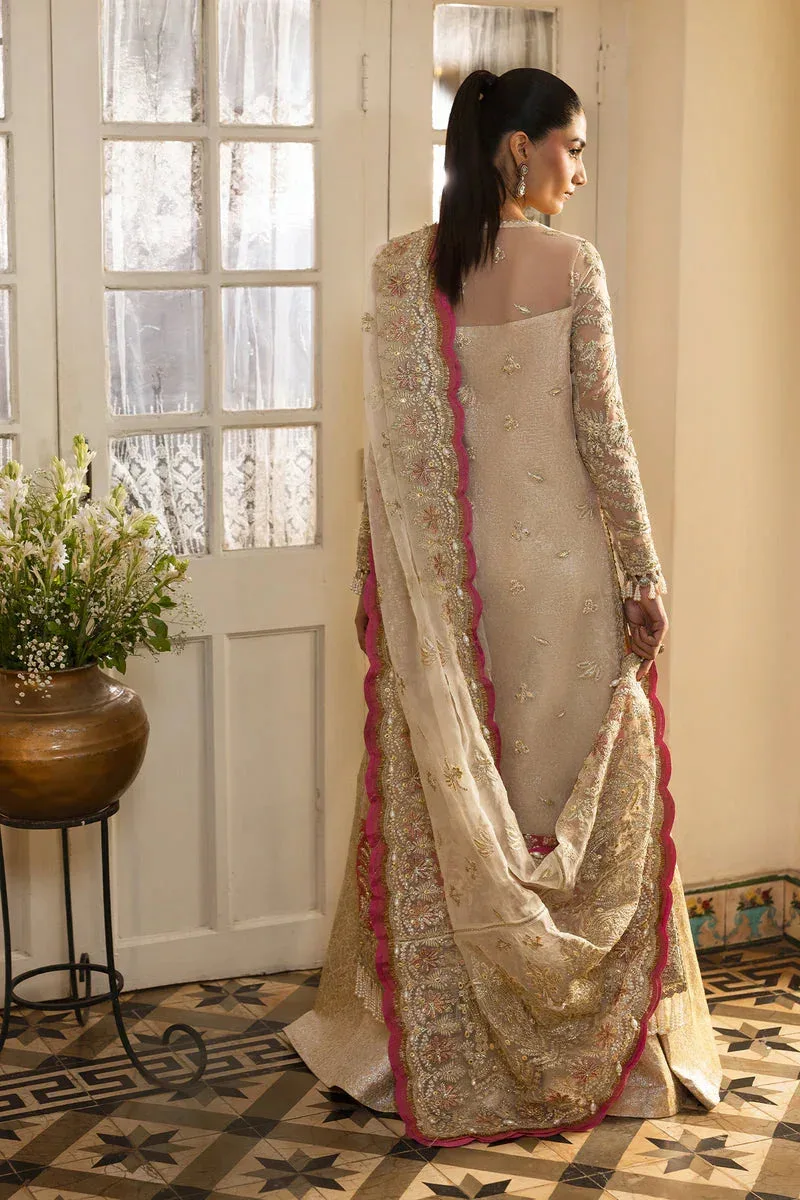Afrozeh Dastangoi 25 Silver Organza – view 2 – Poshaq