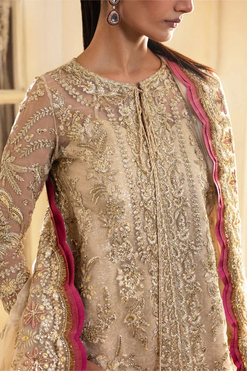 Afrozeh Dastangoi 25 Silver Organza – view 3 – Poshaq