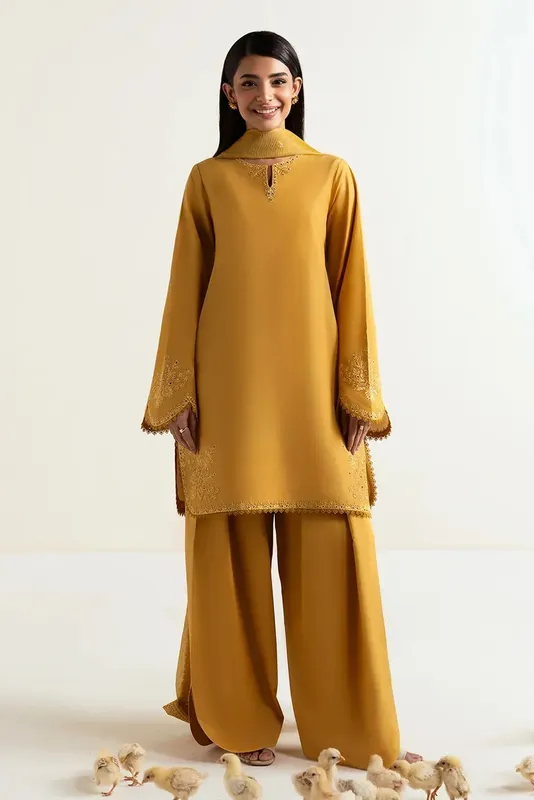Afrozeh Basic Pret 25 Mustard Organza – view 1 – Poshaq