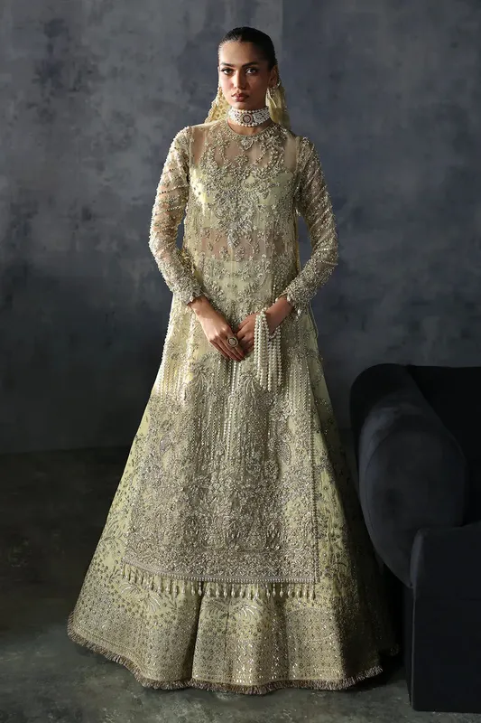 Afrozeh The Brides Edit 24 Raw Silk – view 1 – Poshaq