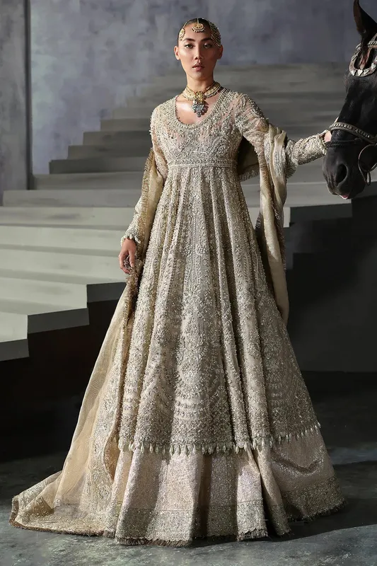 Afrozeh The Brides Edit 24 Organza – view 1 – Poshaq