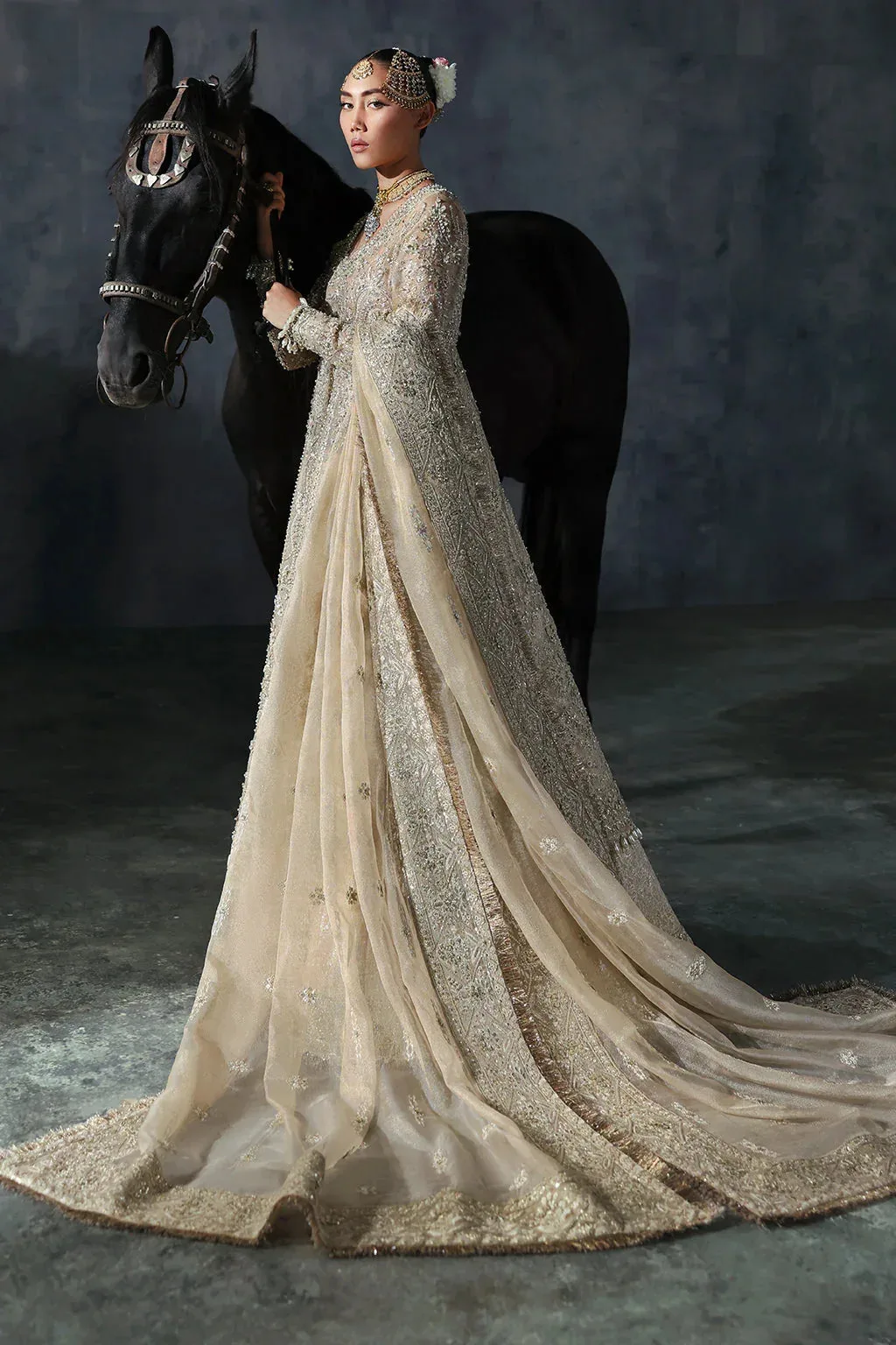 Afrozeh The Brides Edit 24 Organza – view 2 – Poshaq