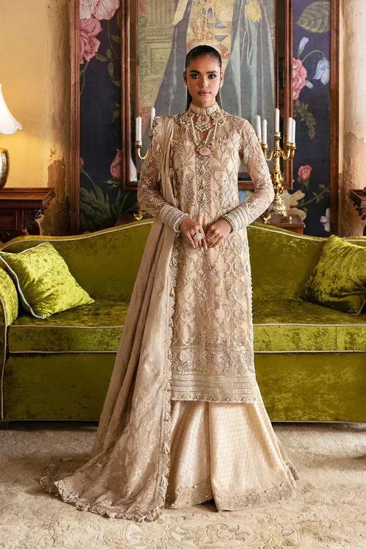 Afrozeh Hayat Wedding Formals 23 Beige Organza – view 1 – Poshaq