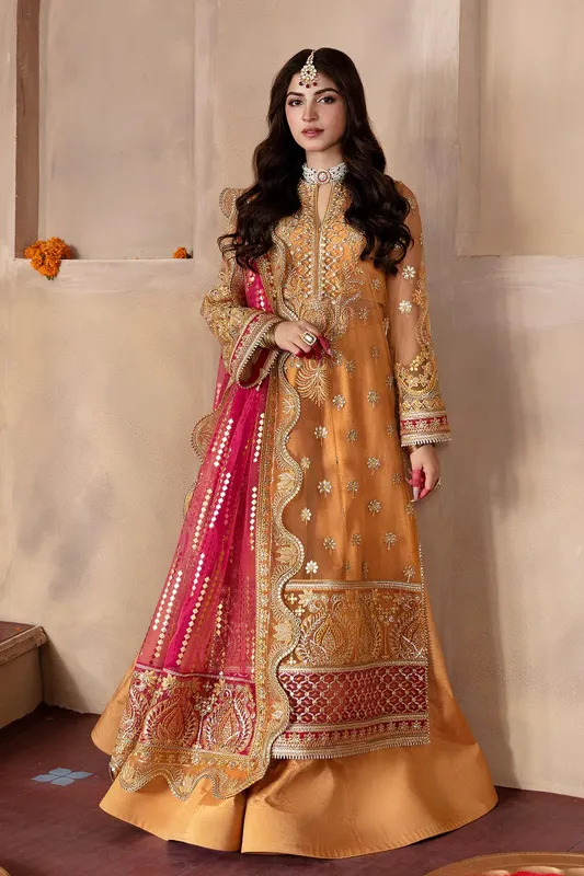 Afrozeh Raw Silk – view 1 – Poshaq