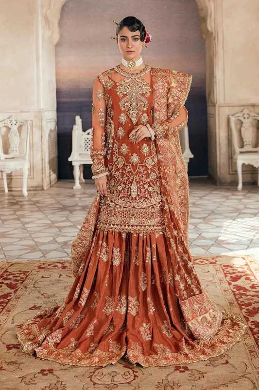 Afrozeh Organza – view 1 – Poshaq