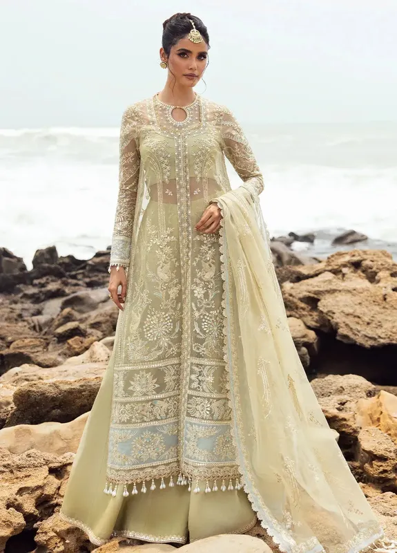 Afrozeh Raw Silk – view 1 – Poshaq