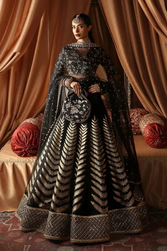 Afrozeh Divani Silk Edit 23 Black Raw Silk – view 1 – Poshaq
