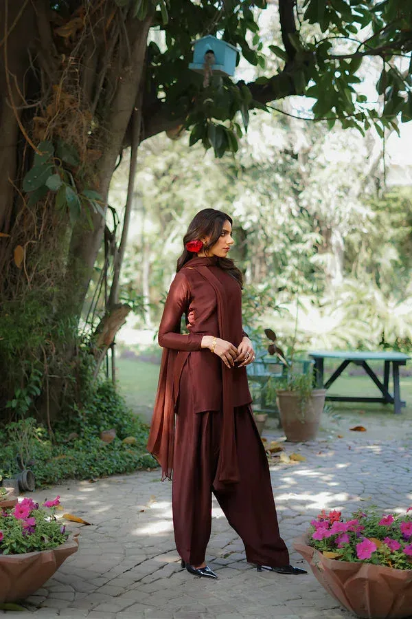 Erum Khan Nue Pret Burnt Umber Raw Silk – view 2 – Poshaq