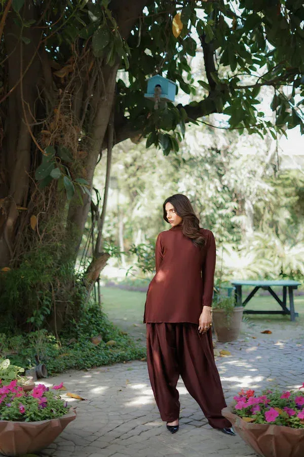 Erum Khan Nue Pret Burnt Umber Raw Silk – view 4 – Poshaq