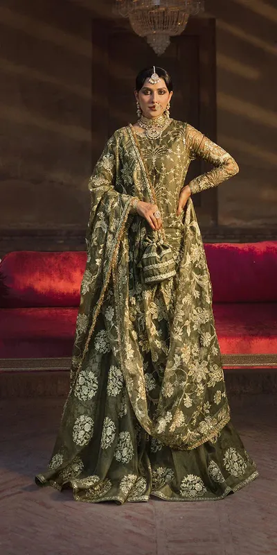 Erum Khan Jahan Wedding Formals Green Organza – view 1 – Poshaq