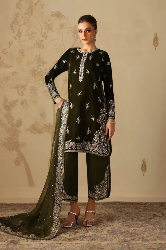 Baroque Velvet 25 Dark Mehndi Organza – view 1 – Poshaq