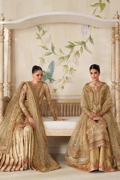 Baroque Chantelle 25 Beige Organza – view 11 – Poshaq