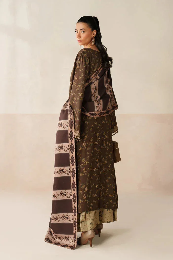Baroque Luxury Pret 25 Chocolate Brown Organza – view 2 – Poshaq