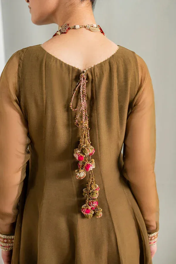 Baroque Luxury Pret 24 Coffee Chiffon – view 3 – Poshaq