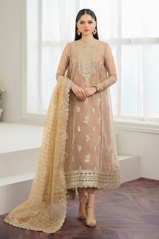 Baroque Luxury Pret 24 Beige Organza – view 1 – Poshaq