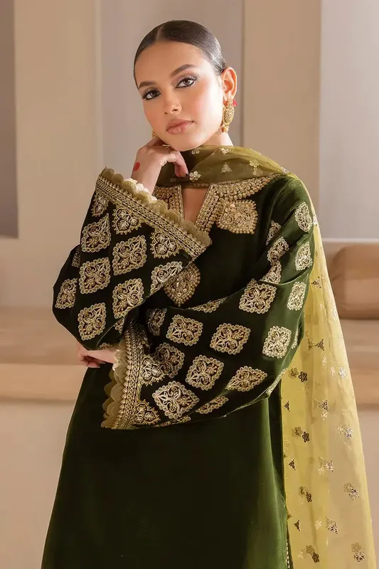 Baroque Jahanara Luxury Velvet 23 Green Organza – view 1 – Poshaq
