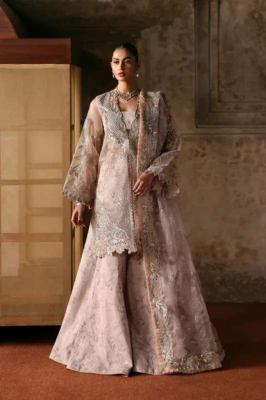 Ayzel Kaashvi Wedding Formals 25 Beige Organza – view 1 – Poshaq