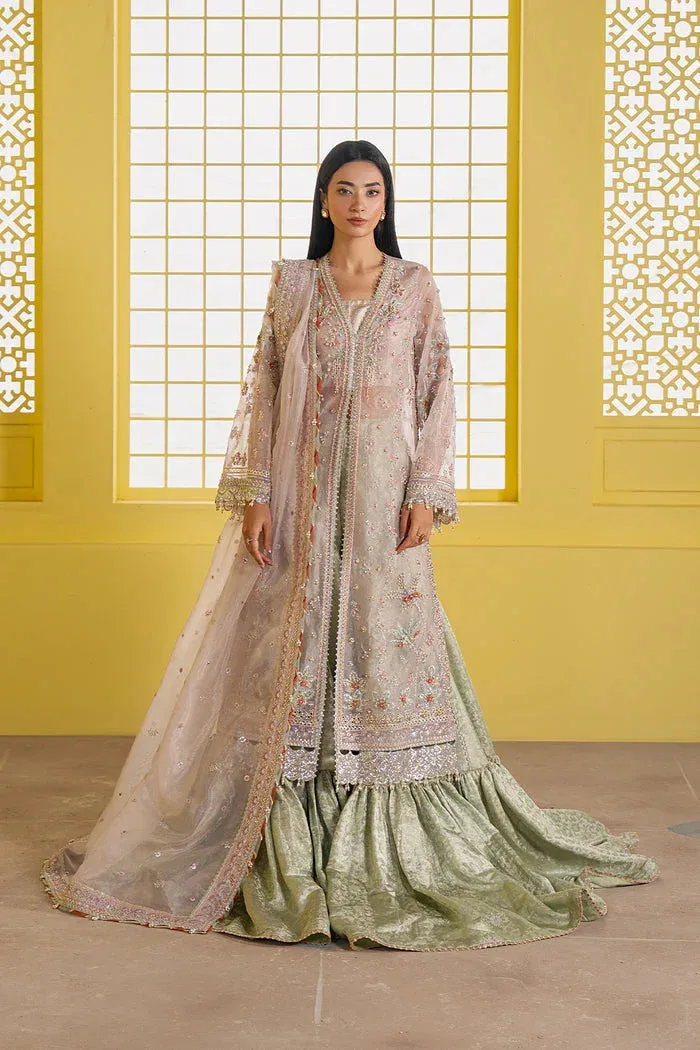Ayzel Solaris Wedding Formals 25 Blush Pink Organza – view 1 – Poshaq