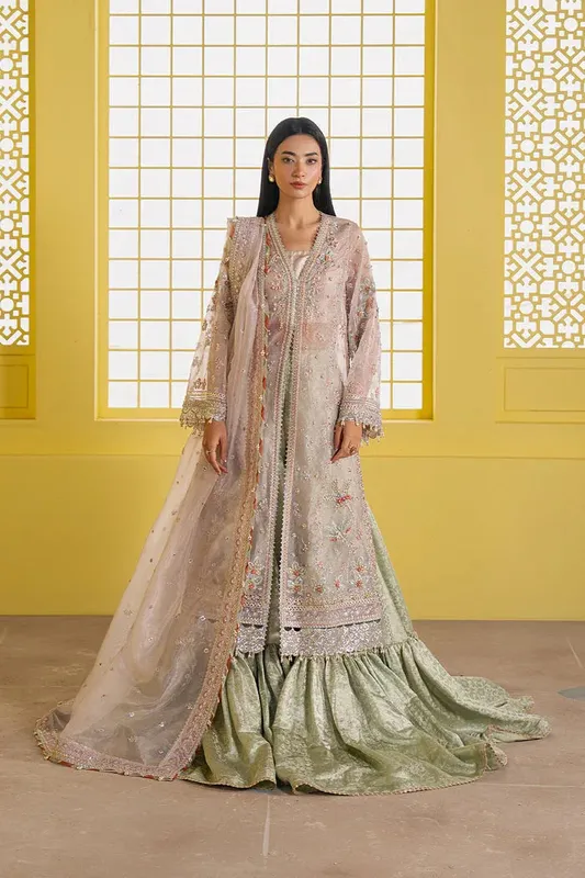Ayzel Solaris Wedding Formals 25 Blush Pink Organza – view 1 – Poshaq