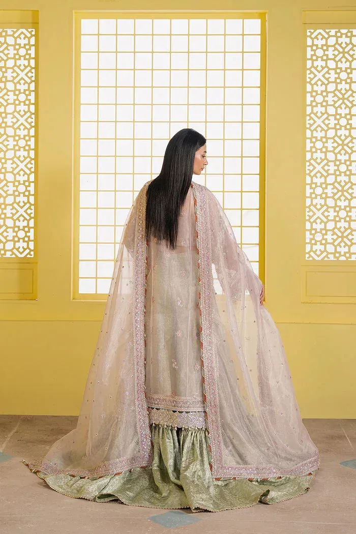 Ayzel Solaris Wedding Formals 25 Blush Pink Organza – view 2 – Poshaq