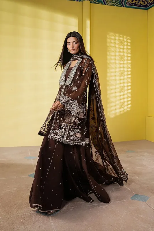 Ayzel Solaris Wedding Formals 25 Chocolate Brown Organza – view 1 – Poshaq