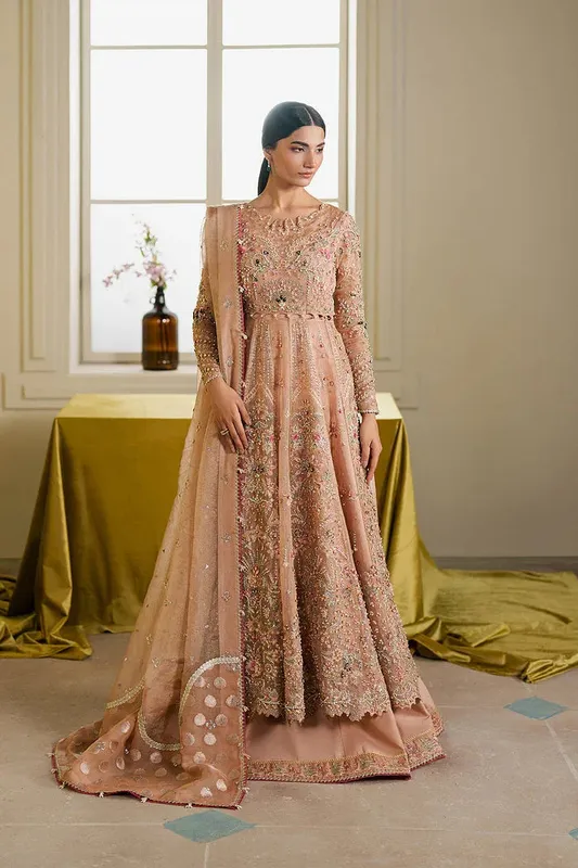 Ayzel Solaris Wedding Formals 25 Skin Organza – view 1 – Poshaq
