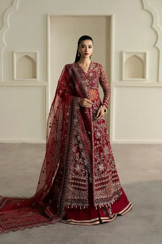 Ayzel Pehli Nazar 25 Maroon Organza – view 1 – Poshaq