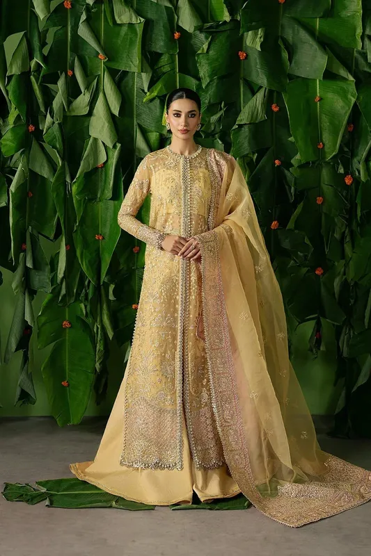 Ayzel Pehli Nazar 25 Pale Yellow Organza – view 1 – Poshaq
