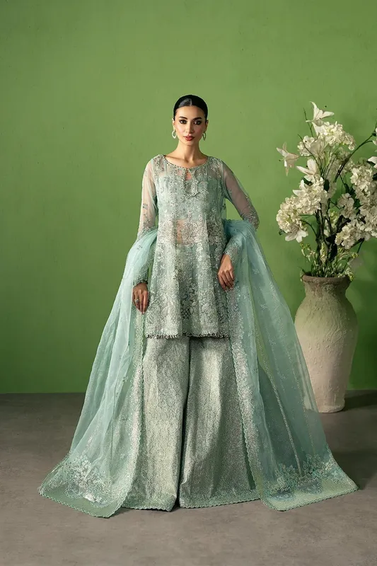 Ayzel Pehli Nazar 25 Sea Green Organza – view 1 – Poshaq
