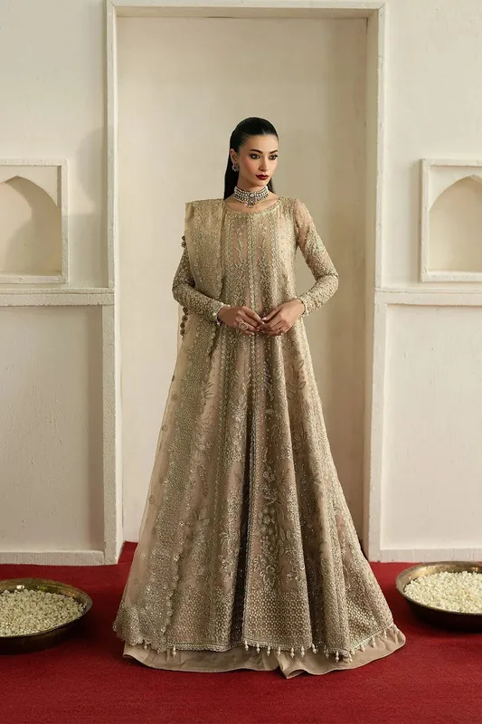 Ayzel Pehli Nazar 25 Beige Organza – view 1 – Poshaq