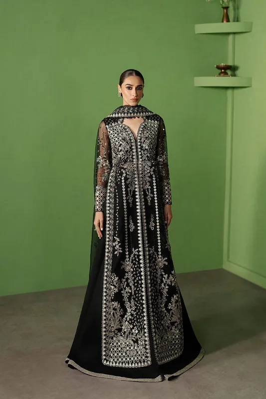 Ayzel Pehli Nazar 25 Black Organza – view 1 – Poshaq