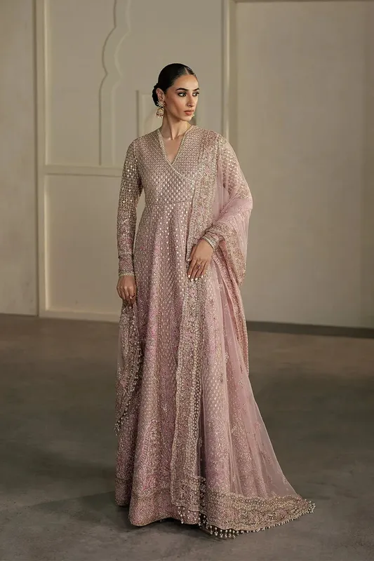 Ayzel Pehli Nazar 25 Lilac Net – view 1 – Poshaq