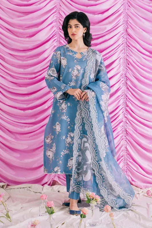 Ayzel Renisa Lawn Collection Blue Organza – view 1 – Poshaq