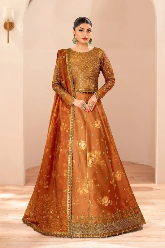Alizeh Formals 26 Burnt Orange Organza – view 1 – Poshaq