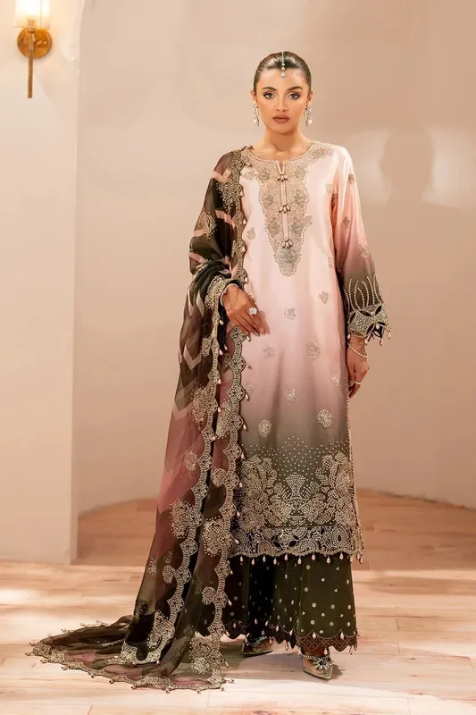 Alizeh Formals 26 Light Pink Organza – view 1 – Poshaq