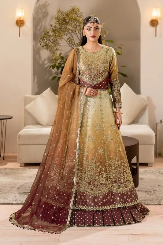 Alizeh Formals 26 Multi Organza – view 1 – Poshaq
